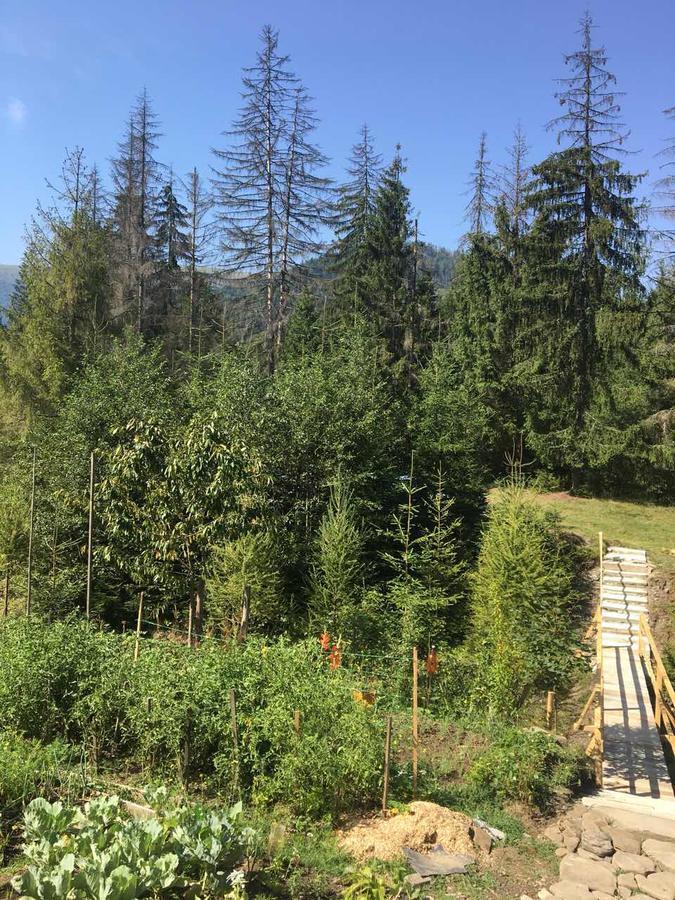 Wooddream Ξενοδοχείο Volovets Εξωτερικό φωτογραφία