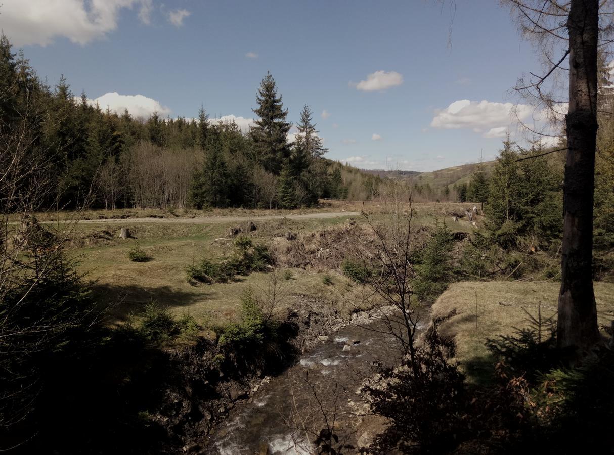 Wooddream Ξενοδοχείο Volovets Εξωτερικό φωτογραφία