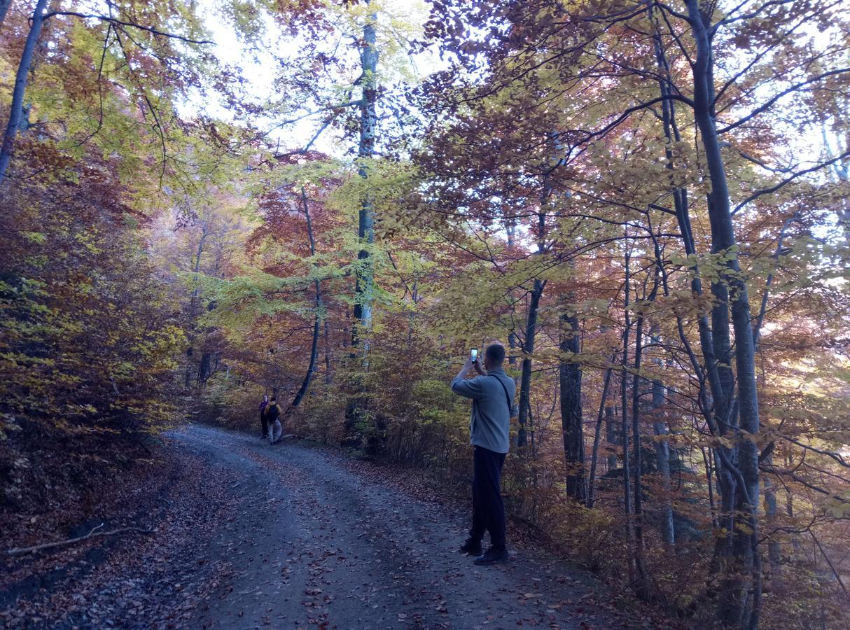 Wooddream Ξενοδοχείο Volovets Εξωτερικό φωτογραφία