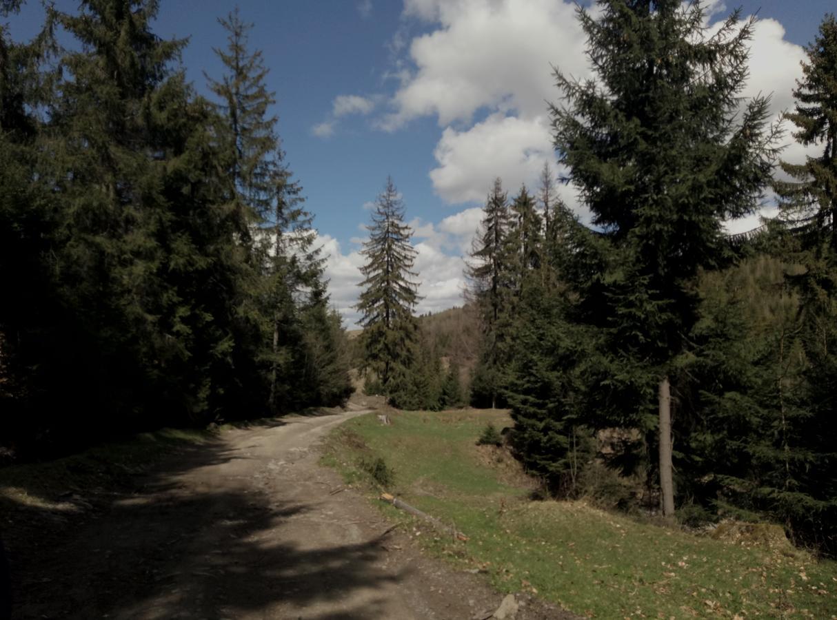 Wooddream Ξενοδοχείο Volovets Εξωτερικό φωτογραφία