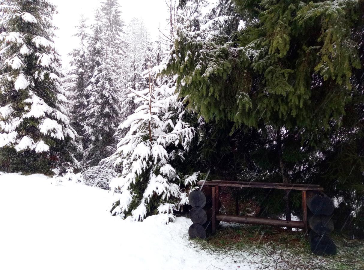 Wooddream Ξενοδοχείο Volovets Εξωτερικό φωτογραφία