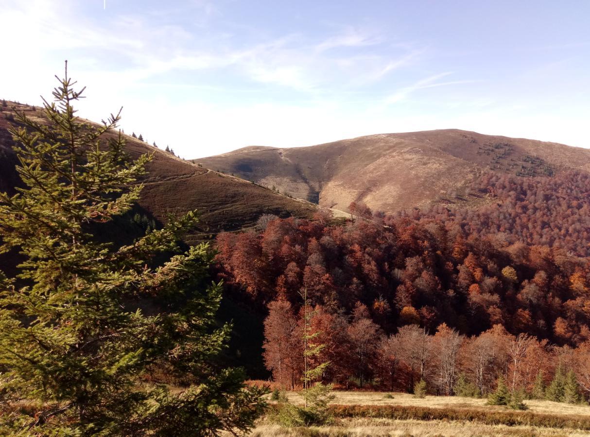 Wooddream Ξενοδοχείο Volovets Εξωτερικό φωτογραφία