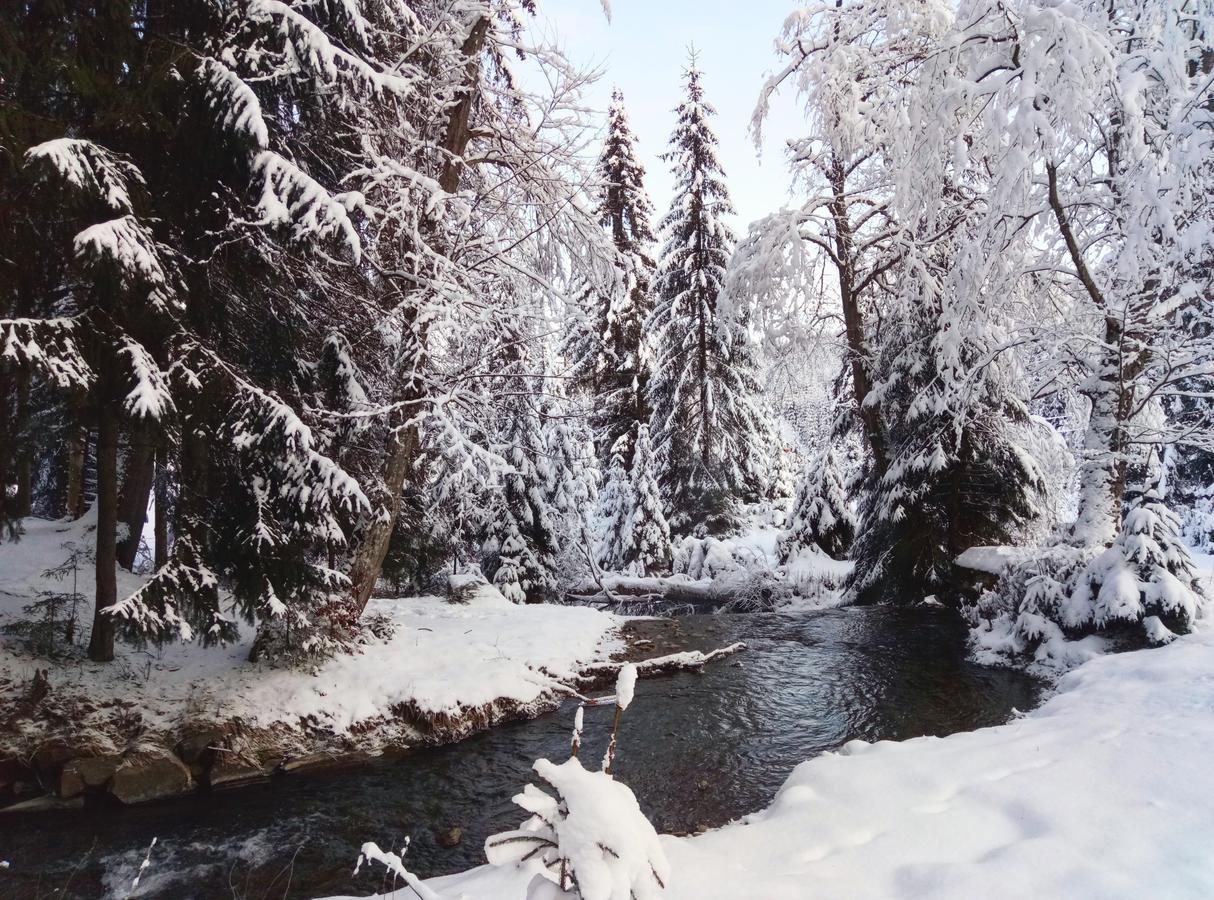 Wooddream Ξενοδοχείο Volovets Εξωτερικό φωτογραφία