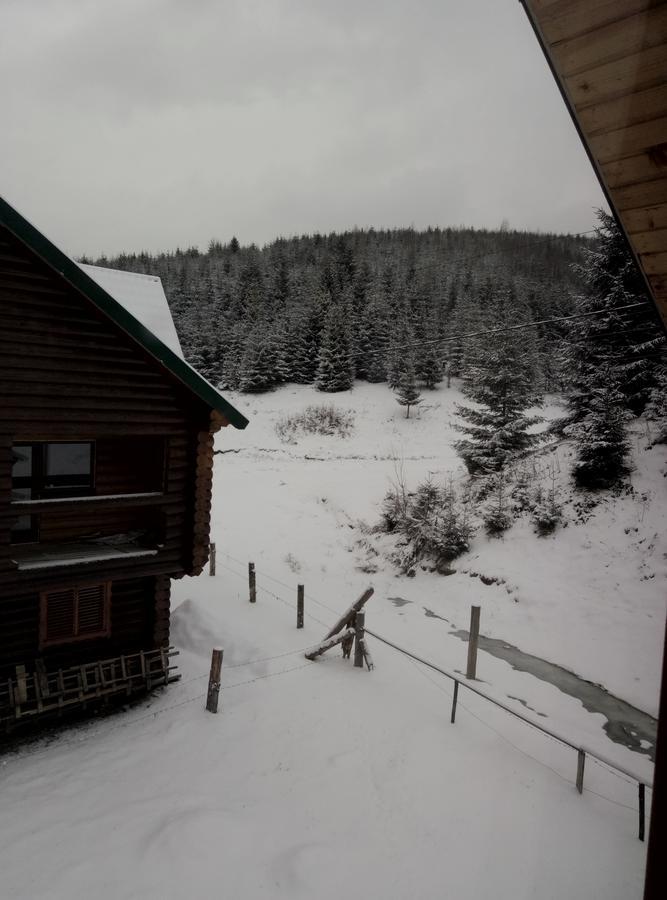 Wooddream Ξενοδοχείο Volovets Εξωτερικό φωτογραφία