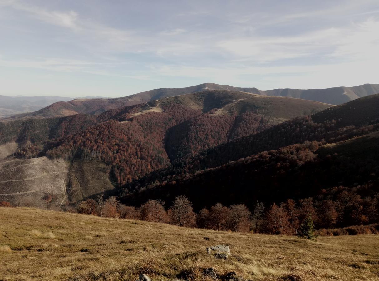 Wooddream Ξενοδοχείο Volovets Εξωτερικό φωτογραφία